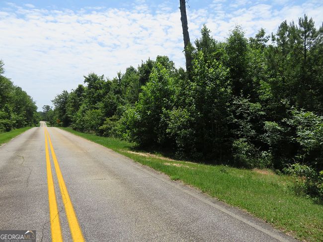 1 Cool Branch Rd, Home with 0 bedrooms, 0 bathrooms and null parking in Georgetown GA | Image 7
