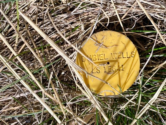 Pins marking the property lines | Image 19
