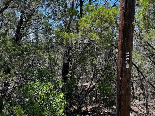 8112 Bronco Ln, Lago Vista, TX, 78645-4135 | Card Image