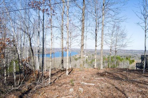 Lot 24 Lillydale Rd, Byrdstown, TN, 38549 | Card Image