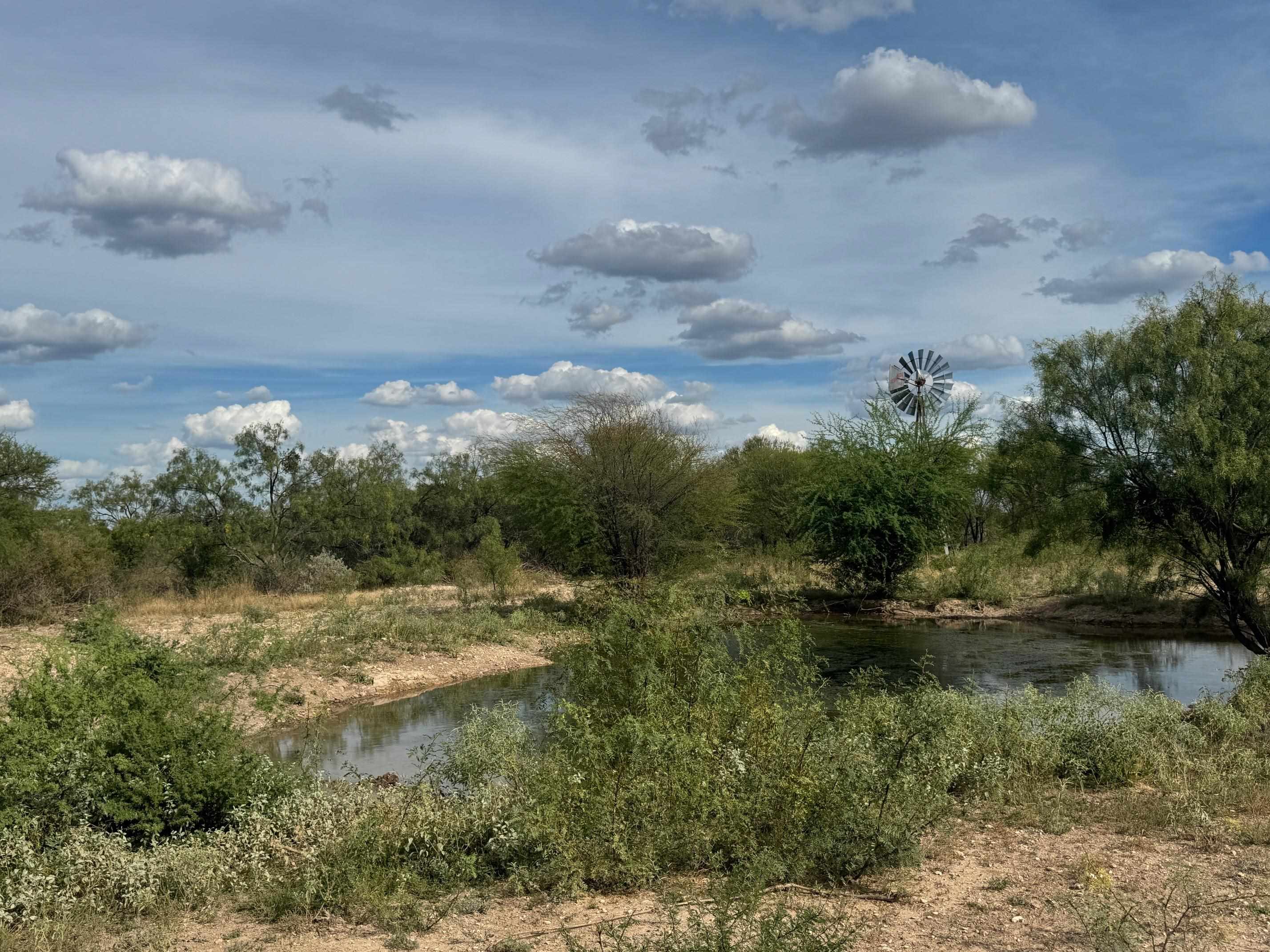 Land in Del Rio 2