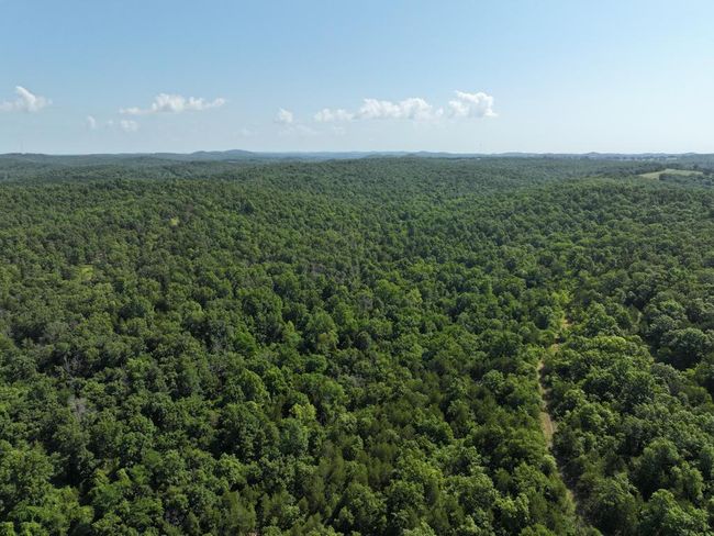 dji_fly_20250620_102212_0012_17504331145 | Image 34