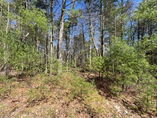 Lot 9 Van Tuyl Rd, Pond Eddy, NY, 12770-5800 | Card Image