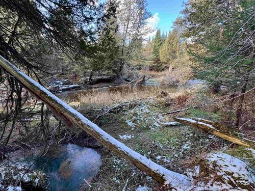 663 Ferguson Rd, Barnet, VT, 05821-9320 | Card Image