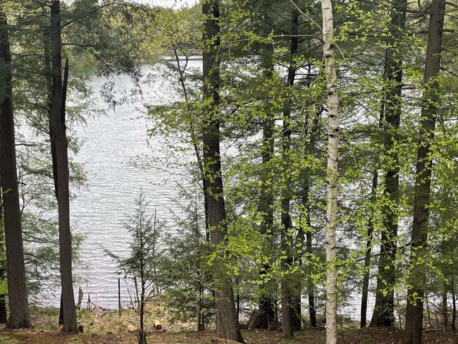 17235 Little Archibald Road, House other with 3 bedrooms, 2 bathrooms and null parking in TOWNSEND WI | Image 15