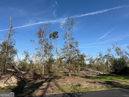 0 Old Graham Rd, Hazlehurst, GA, 31539 | Card Image