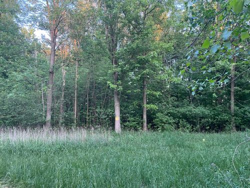 Par B Wilder Road, Lapeer Township, MI, 48446 | Card Image