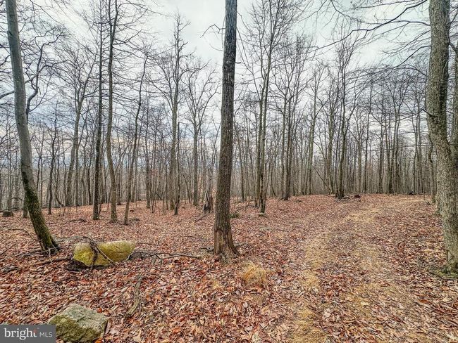 220 Notch Rd, Home with 0 bedrooms, 0 bathrooms and null parking in DUNCANNON PA | Image 16
