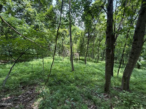 5.74 Ac Bailey Cemetery Rd, Tazewell, TN, 37879 | Card Image