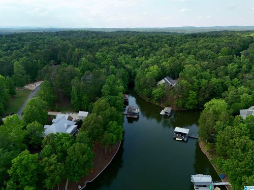 12-Lots 124 Red Cedar Drive, Wedowee, AL, 36278 | Card Image