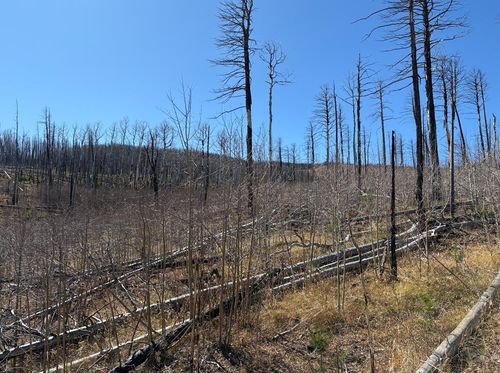 842 Slaoui Pl, Fort Garland, CO, 81133 | Card Image