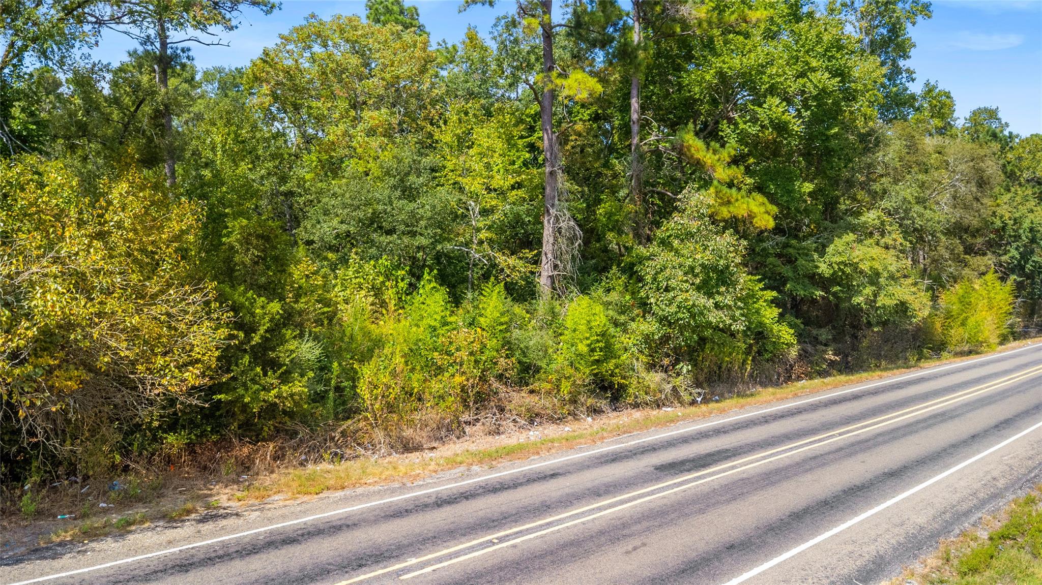 Land in Huntsville 3