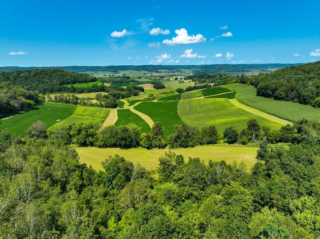 DJI_0388.jpg | Image 17