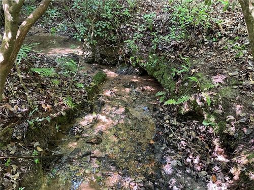 00 Whitewater Point Rd, Tamassee, SC, 29686 | Card Image