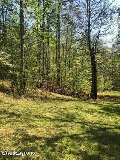 Lot 14 Black Fox Harbor Rd, Home with 0 bedrooms, 0 bathrooms and null parking in Washburn TN | Image 3