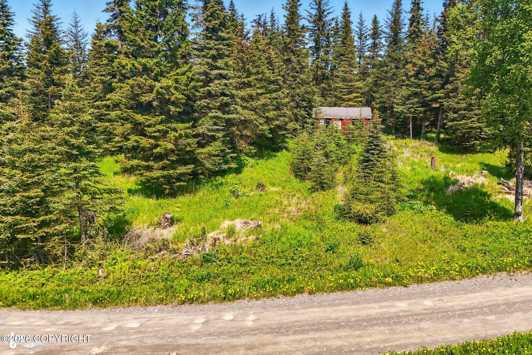 Land in Ninilchik 4