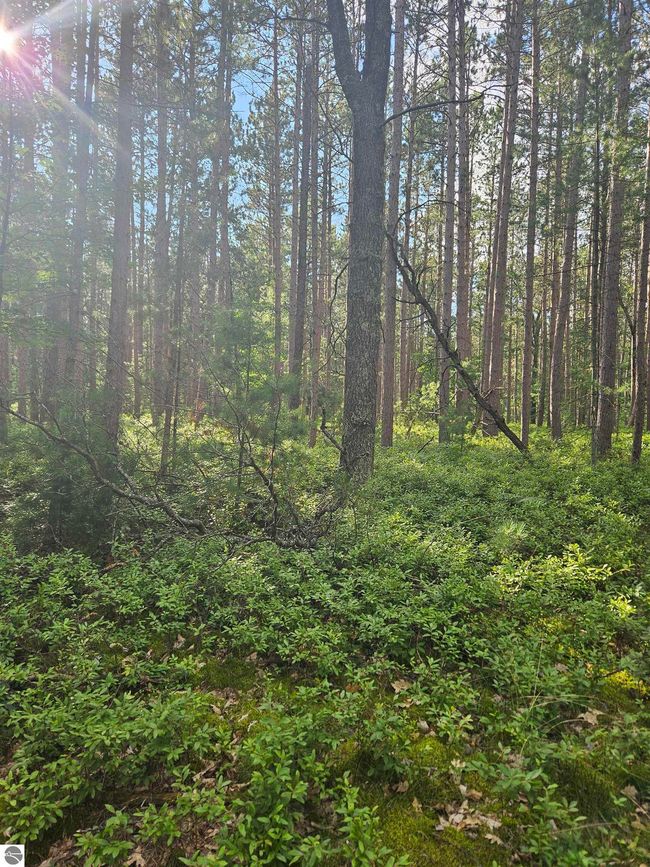 0 Vaughn Rd, Home with 0 bedrooms, 0 bathrooms and null parking in Hale MI | Image 19