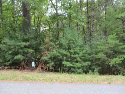 Lot 25 Byers Road, Home with 0 bedrooms, 0 bathrooms and null parking in Blairsville GA | Image 3