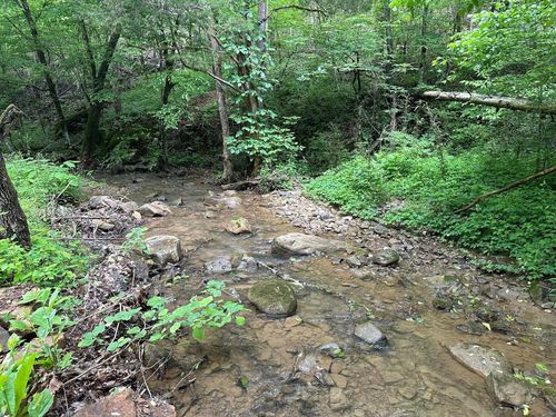 37 Egypt Hollow Rd, Whiteside, TN, 37396 | Card Image