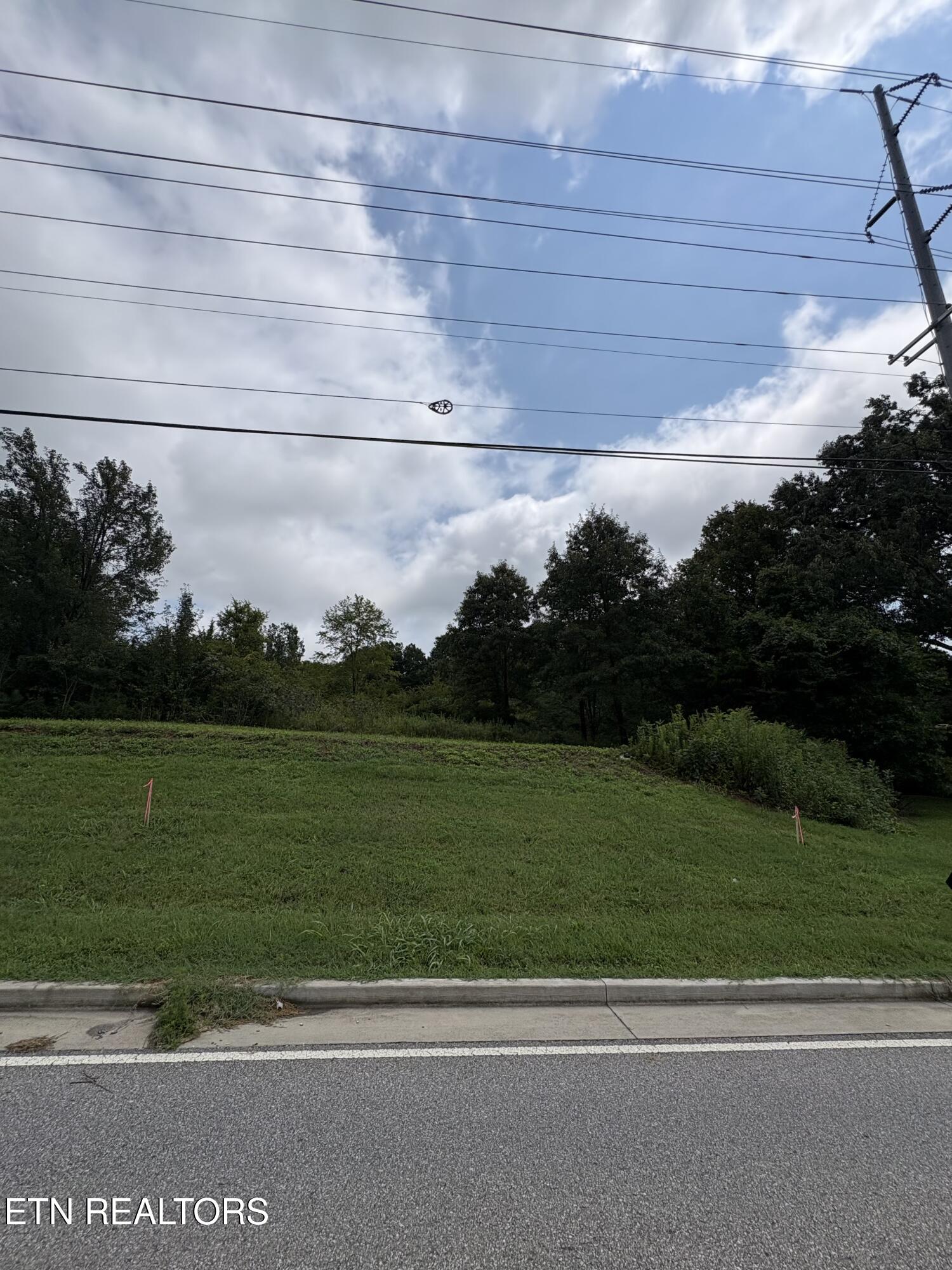 Land in Strawberry Plains 2
