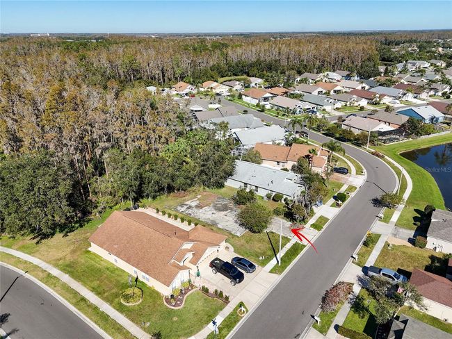 1323 Baythorn Dr, Home with 0 bedrooms, 0 bathrooms and null parking in Wesley Chapel FL | Image 10