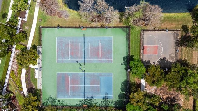 Courts! | Image 38