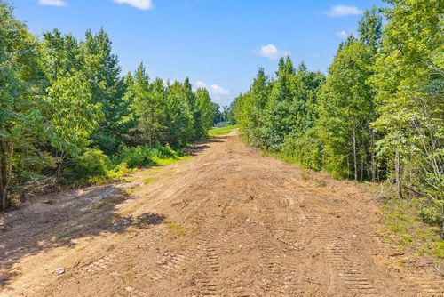 1 Lyle Hollow Rd, Palmyra, TN, 37142 | Card Image