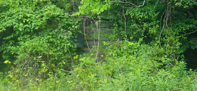 20240613_151305 | Image 21