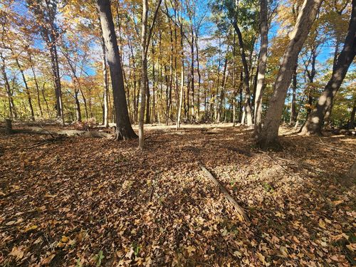 Lot 1783/84 Blueberry Dr, Varna, IL, 61375 | Card Image