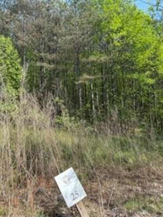 0 Eastside Dr, Home with 0 bedrooms, 0 bathrooms and null parking in Ellijay GA | Image 4