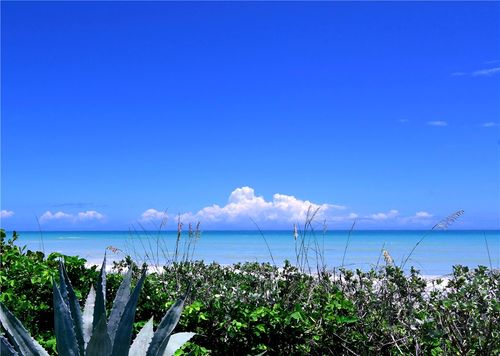 apt-101c-8840 S Sea Oaks Way, Vero Beach, FL, 32963-4030 | Card Image