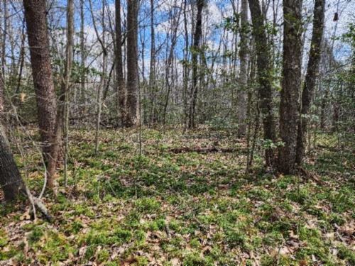 10.79ac Buffalo Rd, Oneida, TN, 37841 | Card Image