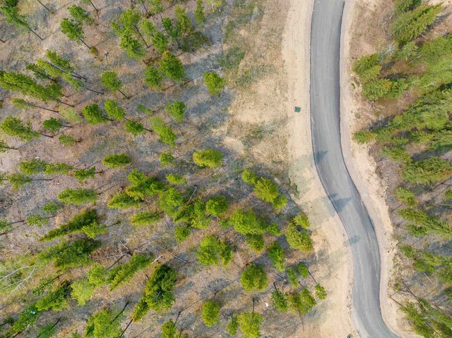 Lot 10 Block 5 Trailside Loop, Home with 0 bedrooms, 0 bathrooms and null parking in Lead SD | Image 9