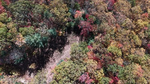 1205 Mays Ridge Rd, Butler, TN, 37640-5916 | Card Image