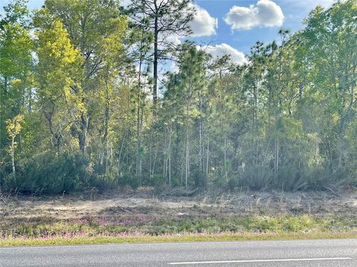 tbd Ne Highway 27 Alt, Williston, FL, 32696 | Card Image