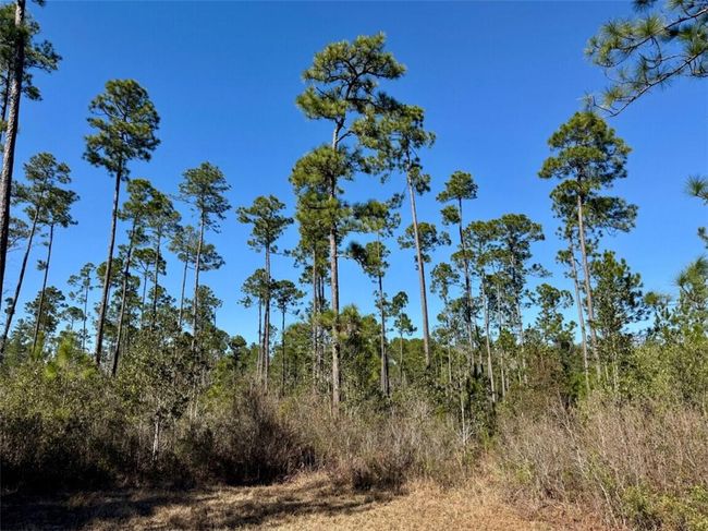 0 Robert White Rd, Home with 0 bedrooms, 0 bathrooms and null parking in Bay Minette AL | Image 32