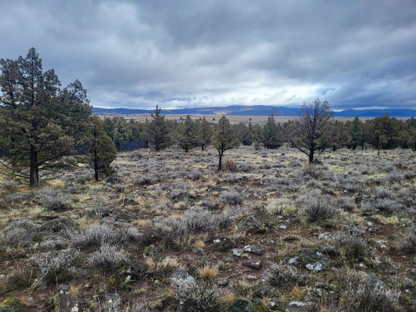 Land in Dorris 3