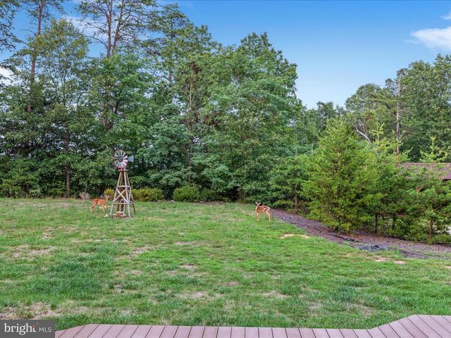 125 Boo Rd, House other with 4 bedrooms, 4 bathrooms and null parking in FRONT ROYAL VA | Image 60