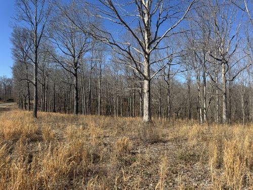 0 Primm Rd, Ashland City, TN, 37015 | Card Image