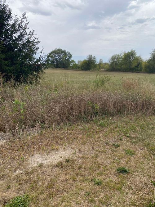 TBD E Hales Corner Rd, STILLMAN VALLEY, IL, 61084 | Card Image