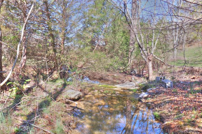 196 Captains Cv, Home with 0 bedrooms, 0 bathrooms and null parking in Sharps Chapel TN | Image 9