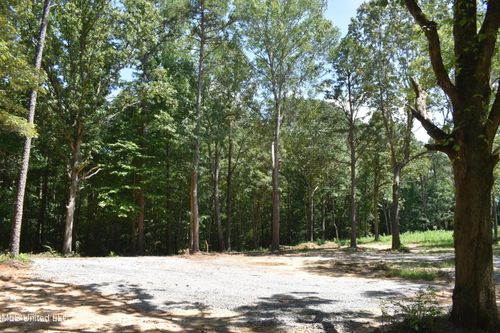 6 Gray Academy Rd, Ashland, MS, 38603 | Card Image