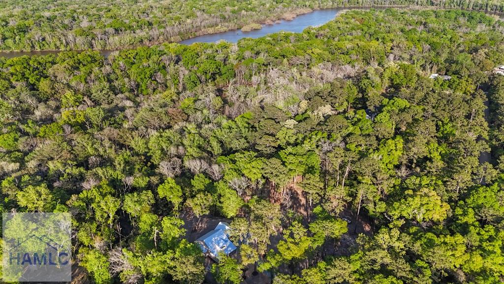 Residential in Jesup 5