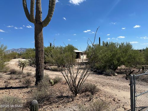 9890 N Blue Bonnet Rd, Tucson, AZ, 85742-9501 | Card Image