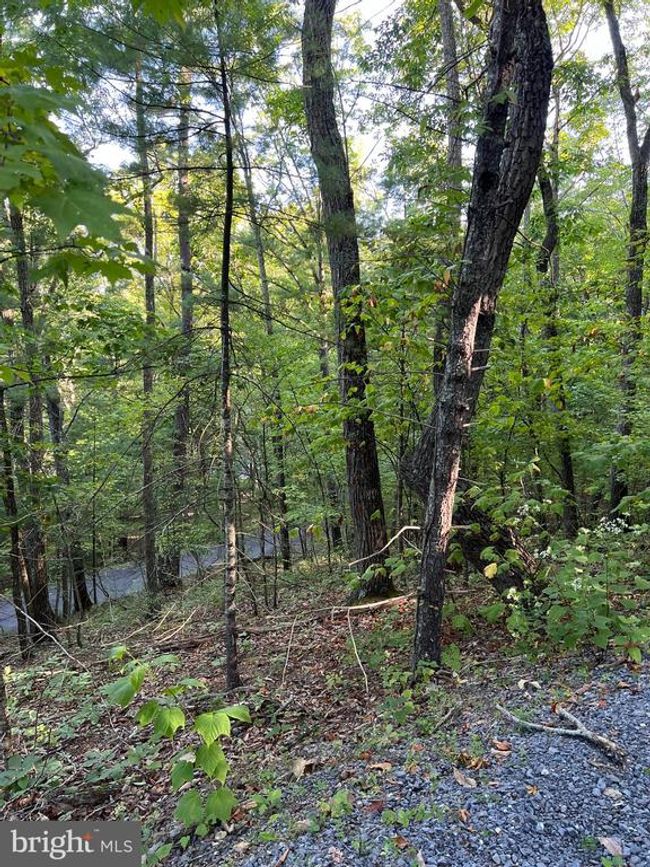 0 Dawn Dr, Home with 0 bedrooms, 0 bathrooms and null parking in BASYE VA | Image 4