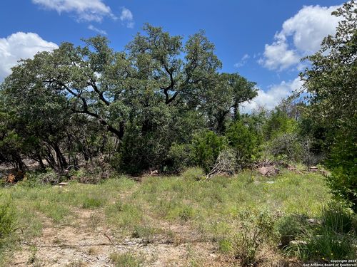 TBD Chad Way, Spring Branch, TX, 78070 | Card Image