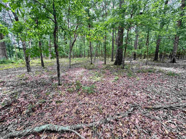 000 Oak Dale Rd, Home with 0 bedrooms, 0 bathrooms and null parking in Lonoke AR | Image 32