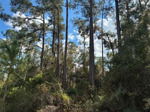 Lot 15, Block 75 Black Rd, LAKE WALES, FL, 33898 | Card Image