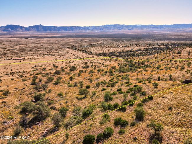 Aerial from west edge, looking down tree | Image 9