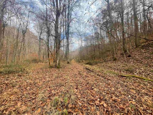 TBD Sand Fork Rd, Walkersville, WV, 26447 | Card Image